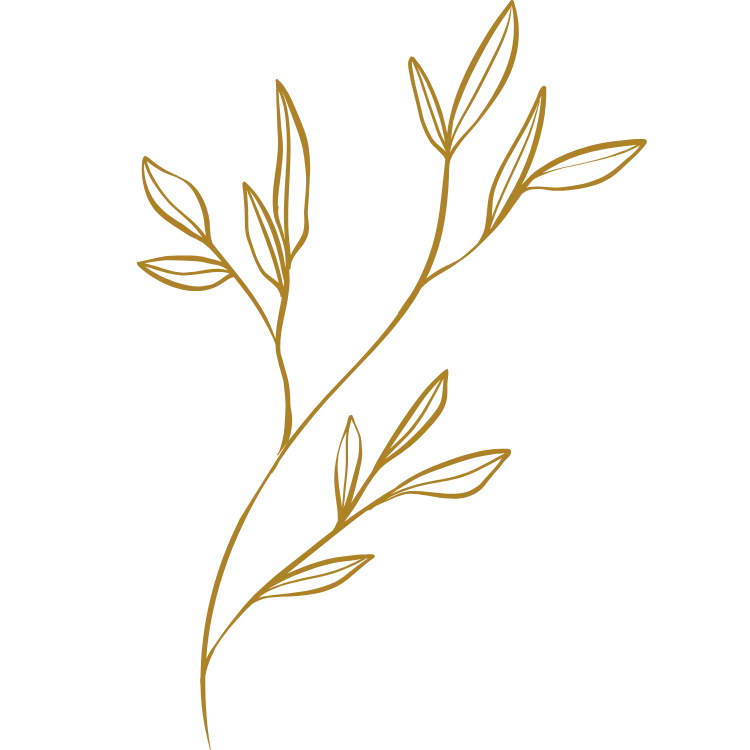 Dekorative Linienillustration eines Zweigs mit Blättern in zarter Linienführung auf transparentem Hintergrund.